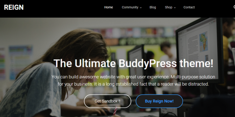 WordPress Community themes