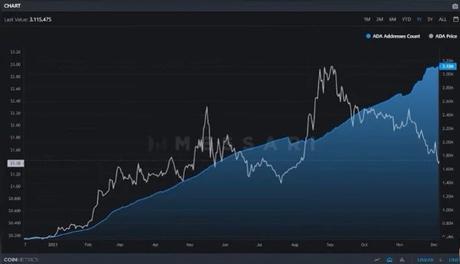 Cardano metrics Cardano metrics