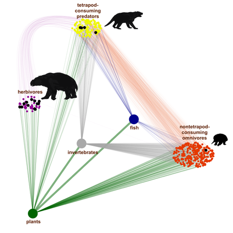 Extinct megafauna prone to ancient hunger games