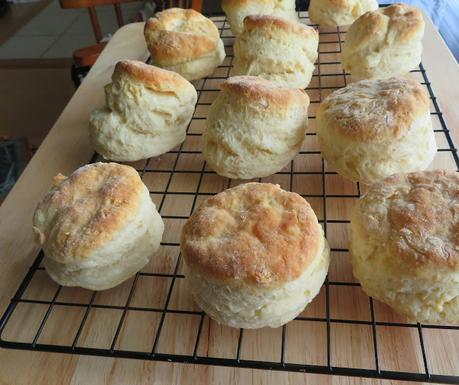 Sour Milk Biscuits