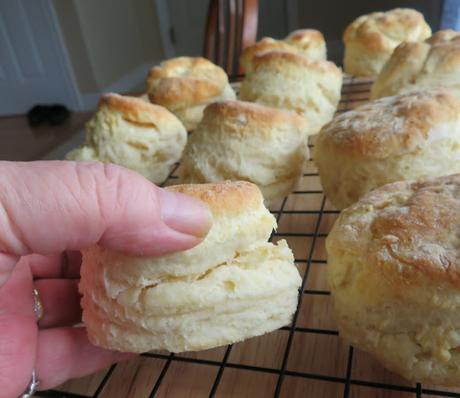 Sour Milk Biscuits