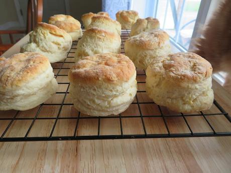 Sour Milk Biscuits