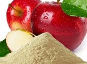 Apple Fiber Market 2021 Manufacturers, Regions, Type Application, Size, Share, Trends Forecast 2026