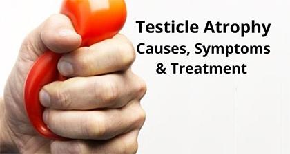 Testicular Atrophy and Its Ayurvedic Treatment With Herbs!