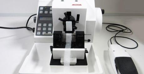 The microtomes market is divided into three categories based on technology: manual, semi-automated, and fully automated microtomes. The microtomes market is estimated to increase at a CAGR of 6.5 percent from USD 129 million in 2019 to USD 177 million in 2027.