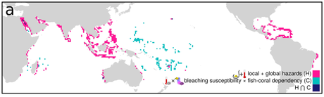 Remote areas not necessarily safe havens for biodiversity