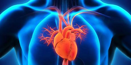 Transcatheter Aortic Valve Implantation (TAVI) Market Research