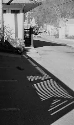 Black and White