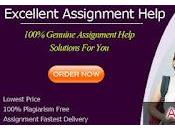 Assignment Help Professional Editors Publishers Rest Work Make Error-Free