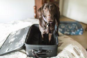 Shoes made of rubber, robotic waiters, and seven more trends will dominate in 2022.