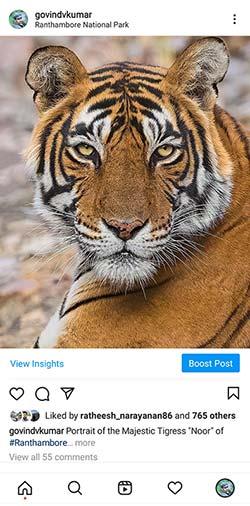 Viewing Photos in Instagram