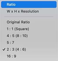 Photoshop crop ratios