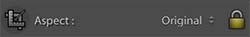 Locked Aspect Ratio in Lightroom