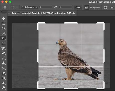 Aspect Ratio in Lightroom