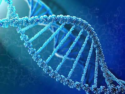 Aptamers Market Aptamers are single-stranded DNA and RNA molecules that can attach to a specific target with high specificity.
