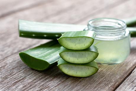 Amazing Uses for Aloe Vera and Its Benefits