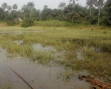 Body Of Man Surfaces Three Days After He Drowned In Akwa Ibom