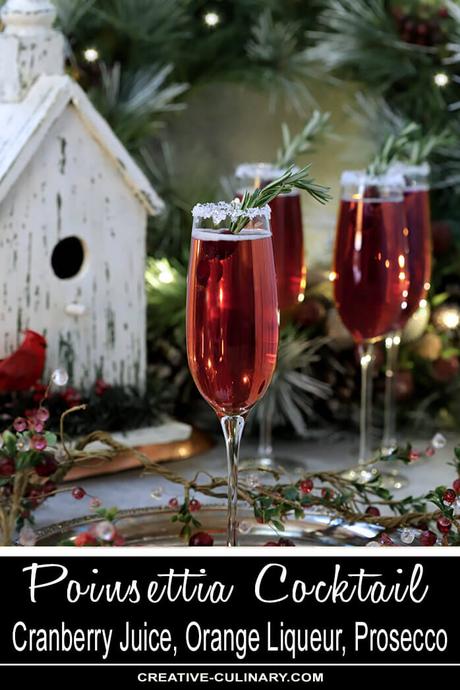 Cranberry Poinsettia Champagne Cocktail