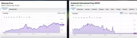Main competitor to Olympus Main competitor to Olympus