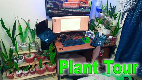 🎍WATCH: Indoor Plants Collection Tour Inside a Small Condo Unit.