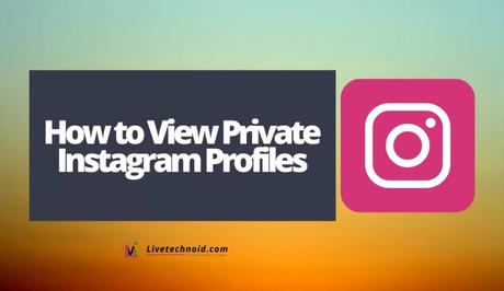 How to View Private Instagram Profiles