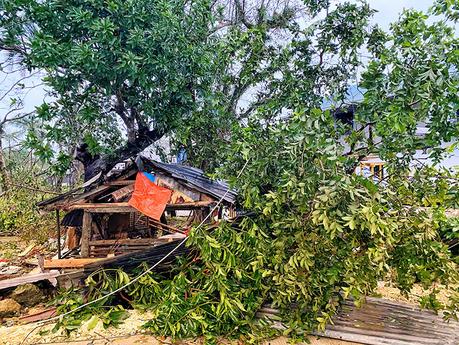 The Real Situation of Bohol Province After Typhoon Odette.