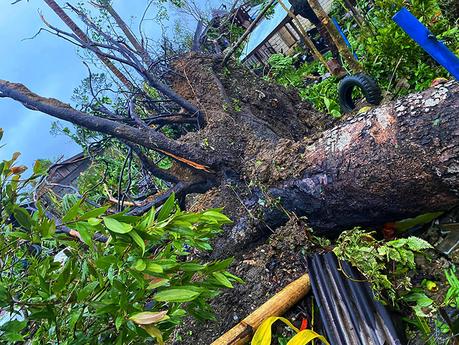 The Real Situation of Bohol Province After Typhoon Odette.