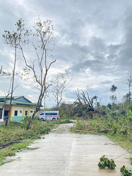 The Real Situation of Bohol Province After Typhoon Odette.