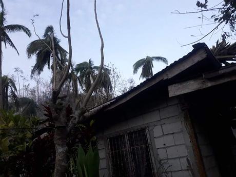 The Real Situation of Bohol Province After Typhoon Odette.