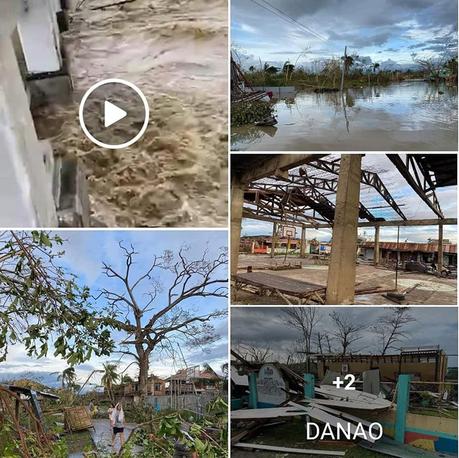 The Real Situation of Bohol Province After Typhoon Odette.