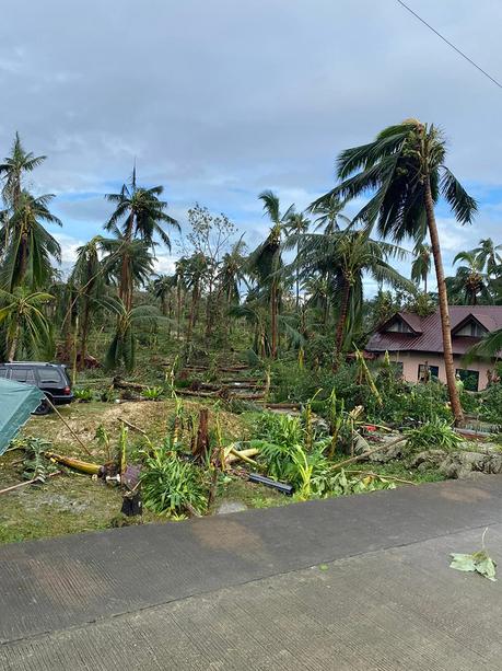 The Real Situation of Bohol Province After Typhoon Odette.