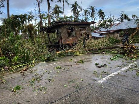 The Real Situation of Bohol Province After Typhoon Odette.