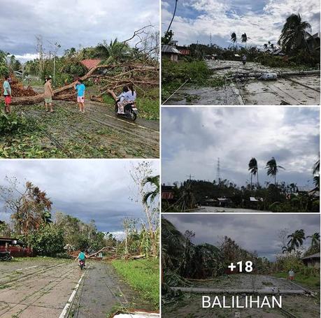 The Real Situation of Bohol Province After Typhoon Odette.