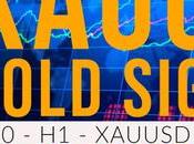 2021-12-27 Xauusd Monday Market Opening Forecast Admin Screen Live