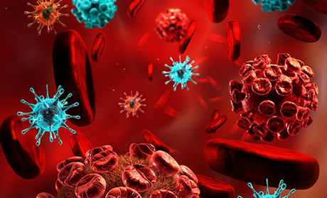 The immunomodulators market is segmented by product, application, and region in this analysis. immunomodulators market