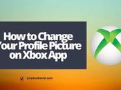 Change Your Profile Picture Xbox