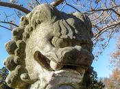 Creatures from Longwood Gardens