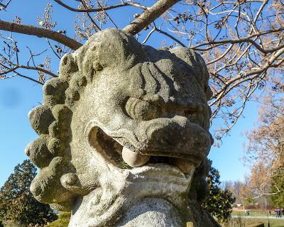 Creatures from Longwood Gardens