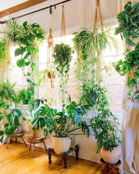 Free shipping on orders over $100! 44 The Best Hanging Plants Ideas to Indoor Decoration in