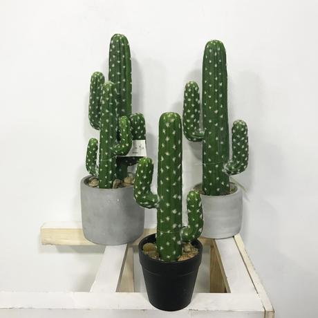 Overnight flower delivery allows you to send a lovely gift of fresh flowers or a blooming plant gift at a moment's notice. Popular Design Artificial Cactus Plant Decorative Desert