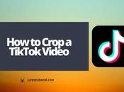 Crop TikTok Video