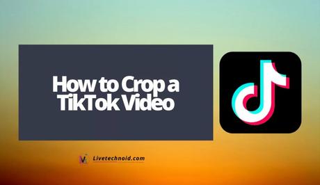 How to Crop a TikTok Video