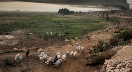Police Recover Herder’s Corpse And Arrest Suspect In Kwara