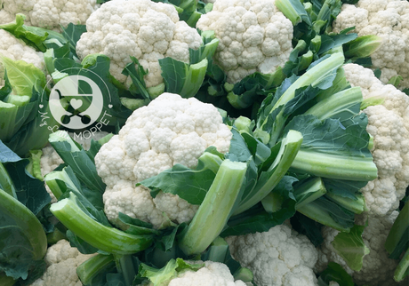 Can I give my Baby Cauliflower?