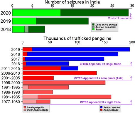 Fancy a pangolin infected with coronavirus? Apparently, many people do