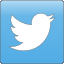 Share on Twitter twitter
