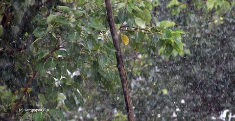 rains lashes Chennai city !  -