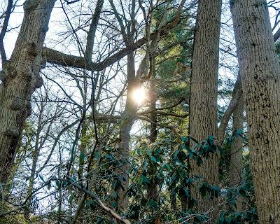 Friday Fotos: (Still) more from Longwood Gardens