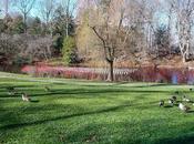 Friday Fotos: (Still) More from Longwood Gardens