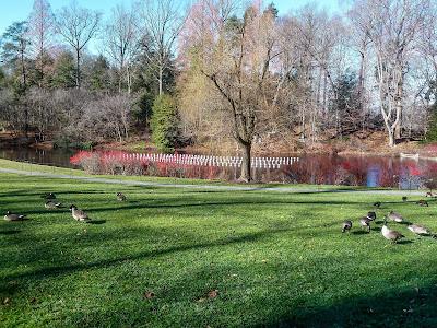 Friday Fotos: (Still) more from Longwood Gardens